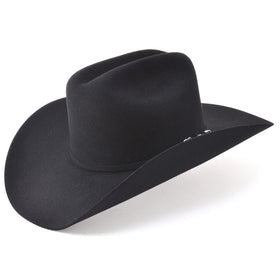 Stetson 6X Fur Felt  Skyline Hat With Hat Box