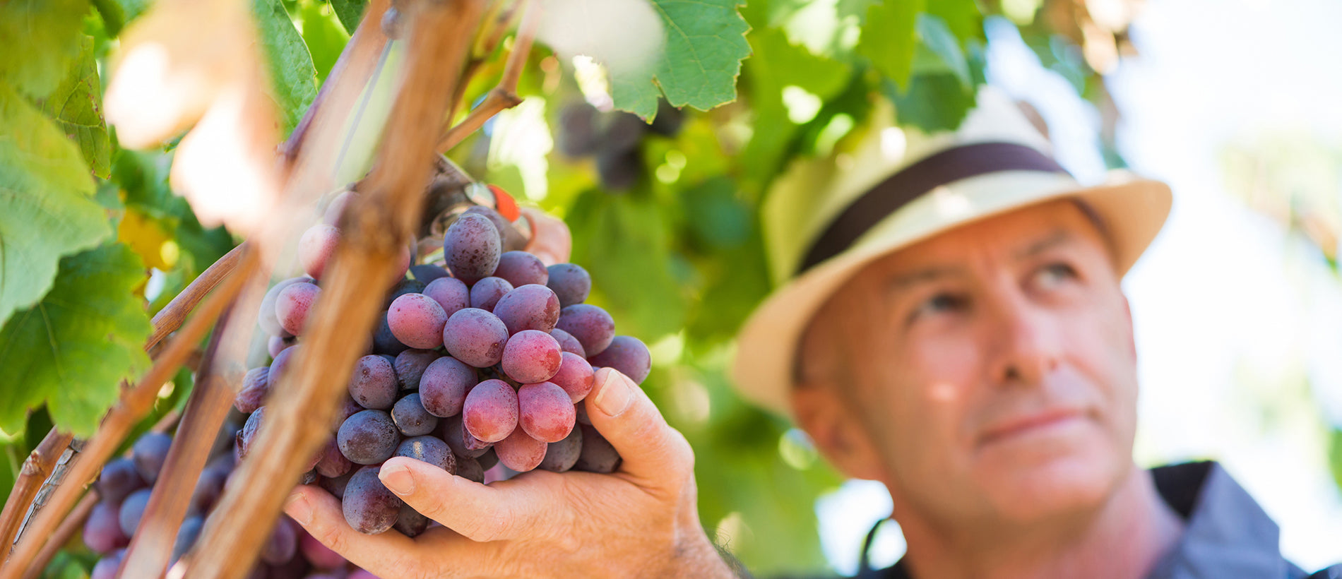 Shop Our Large Selection of Summer Hats